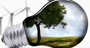 Electricity Economy